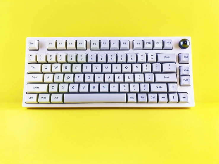 there is a white keyboard and the keys are black