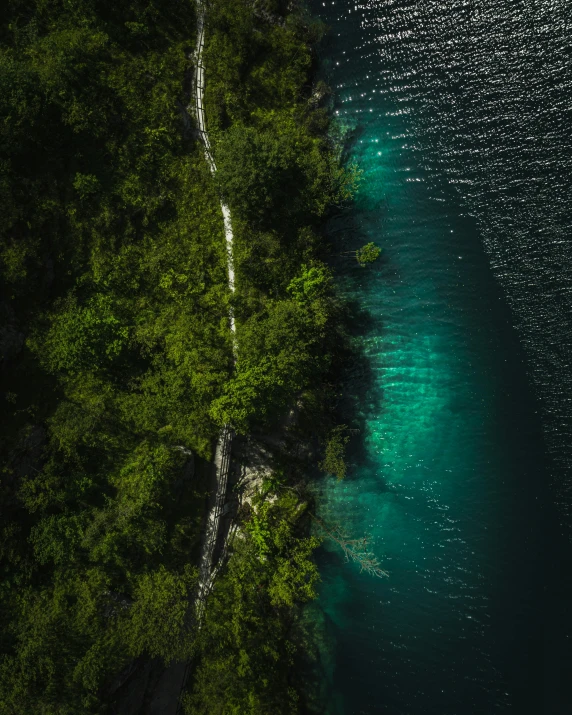 an aerial view of a body of water and lush green trees