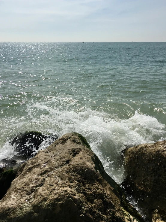 a rocky beach with seagulls on the water