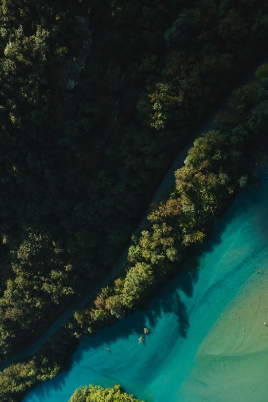 an aerial view of two people riding boats on a lake in the middle of some forest