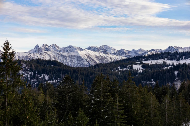 a snow covered mountains range as seen through the trees