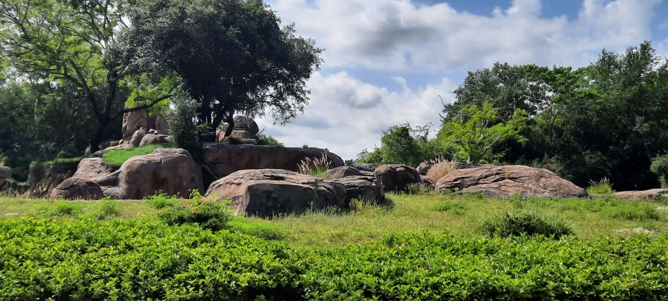 a green field with some big rocks in it