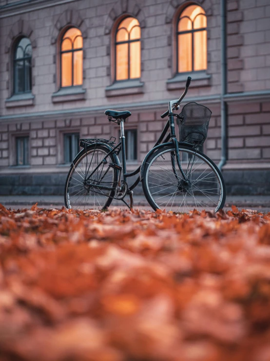 a bicycle parked on the ground in front of an ornate building