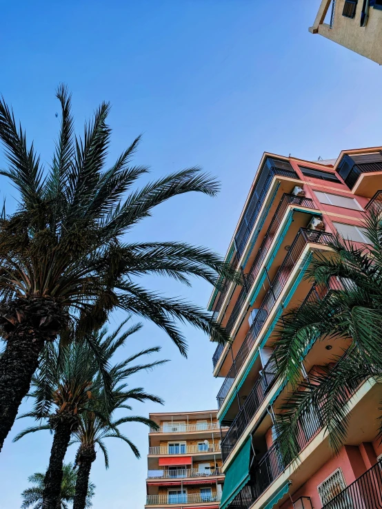 buildings and palm trees line the street in barcelona