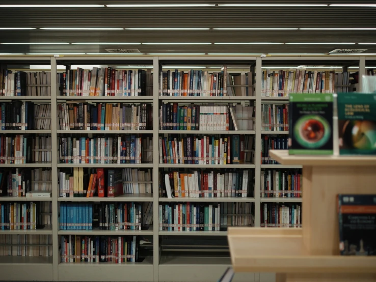 shelves are lined with many books with one red on