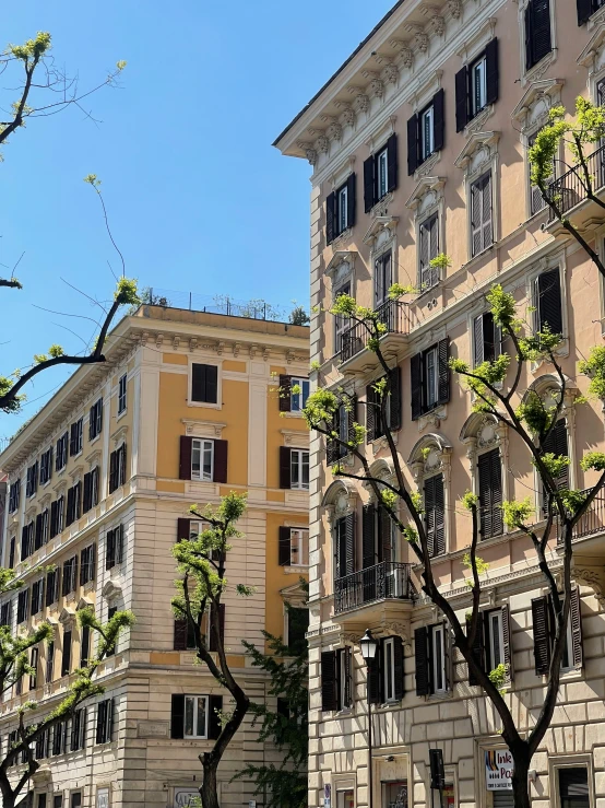 two story building with balcony windows and tree nches