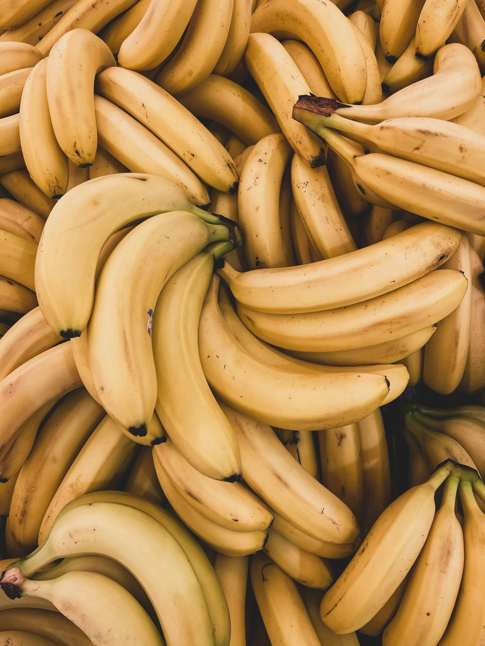 an image of bunches of bananas in close up