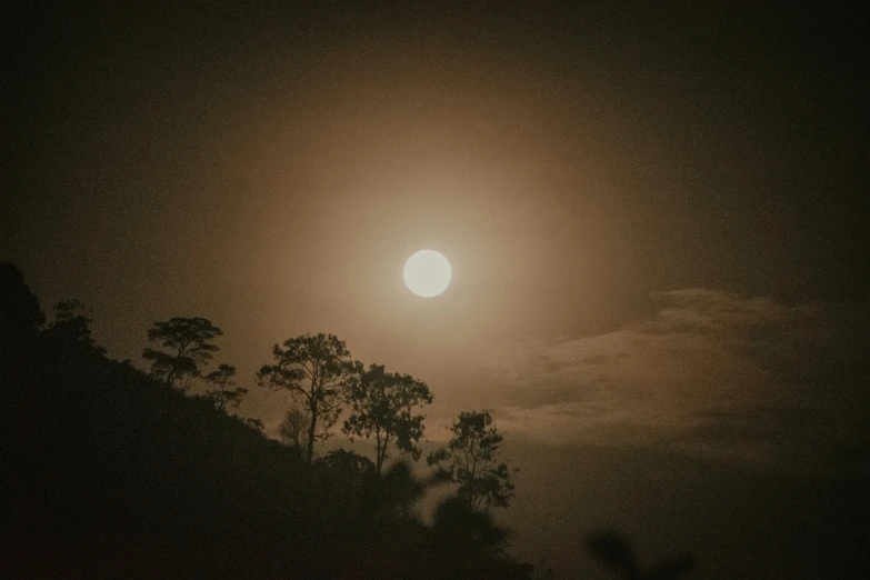 full moon setting above silhouetted trees in night sky