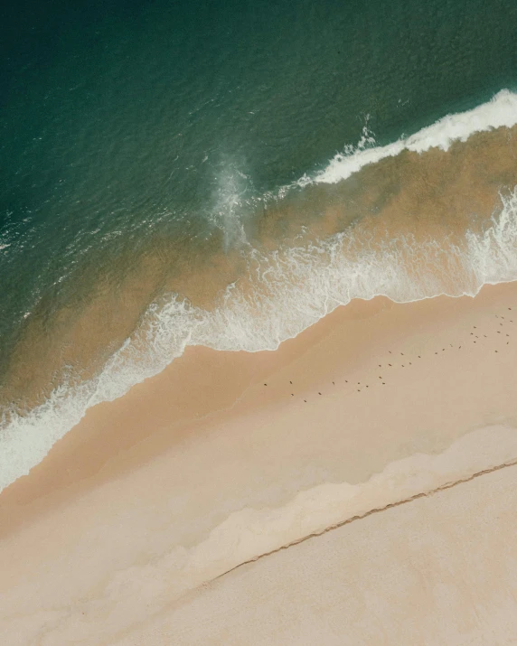 an aerial s shows a beach on a clear day