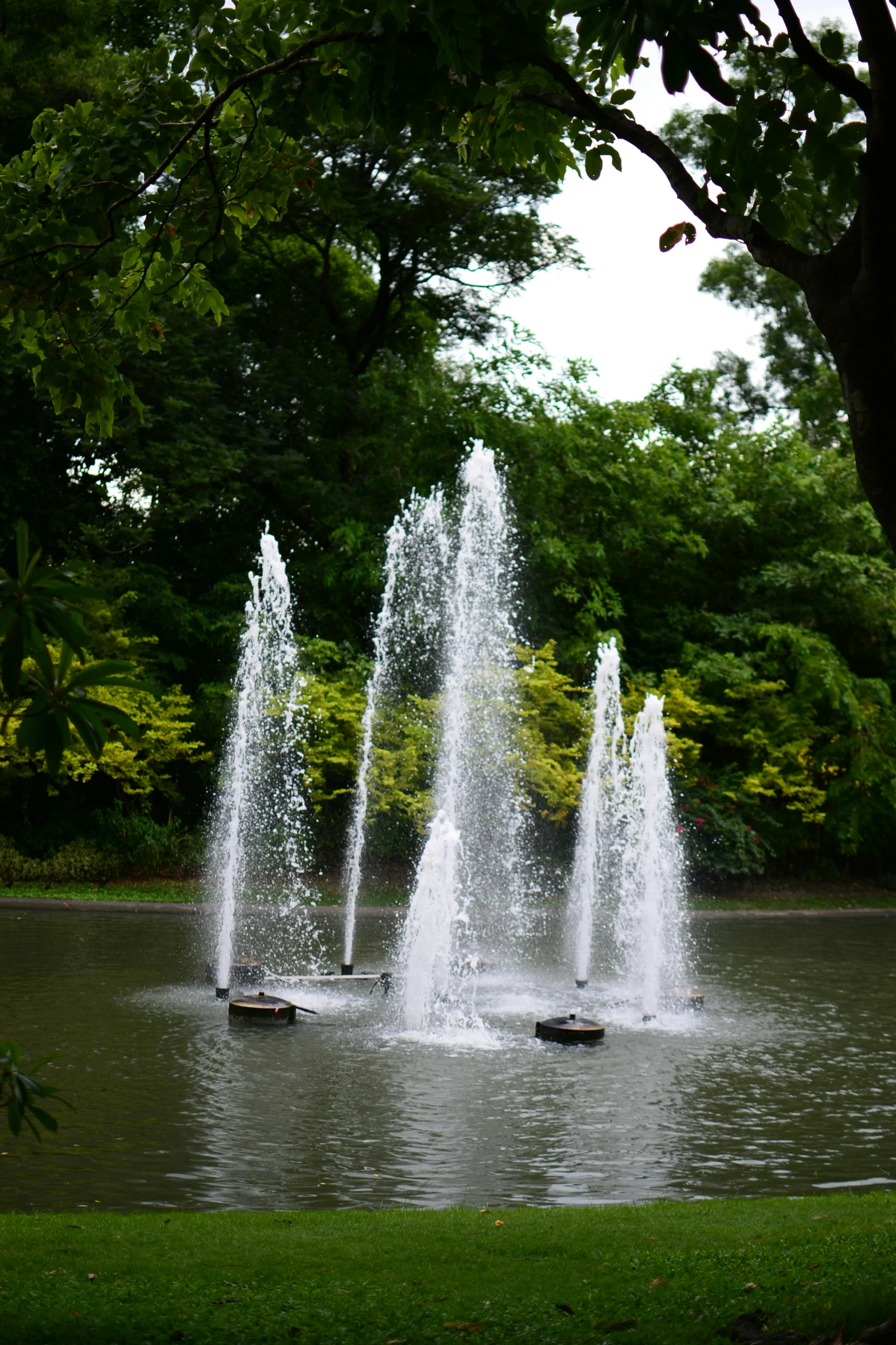 three people on boats in a pond with water fountains