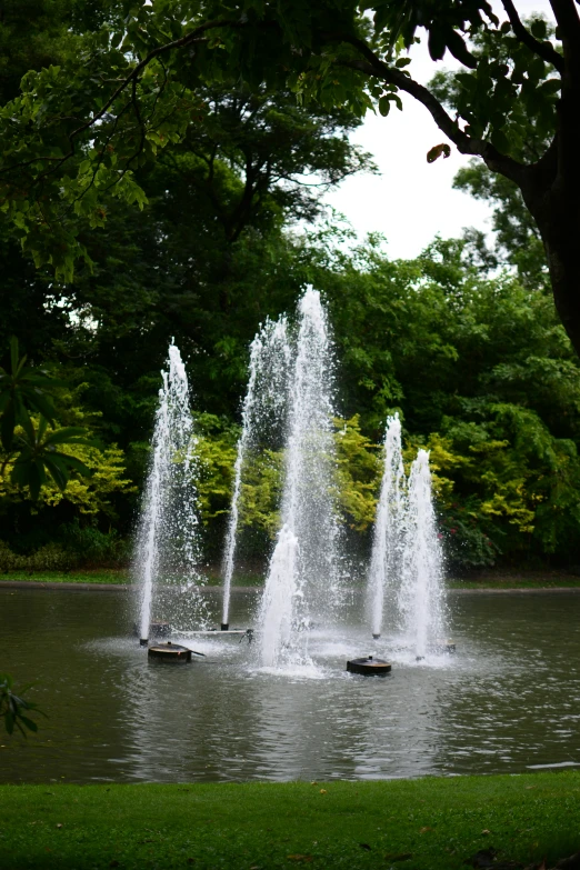 three people on boats in a pond with water fountains