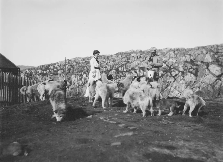 an old po of men herding sheep