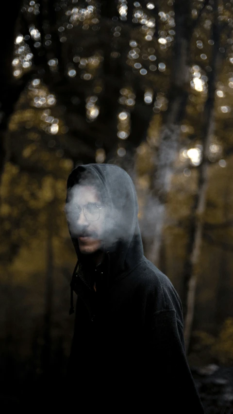 a person in a foggy forest looking at the camera