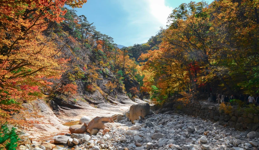 some colorful trees are around an area that is muddy