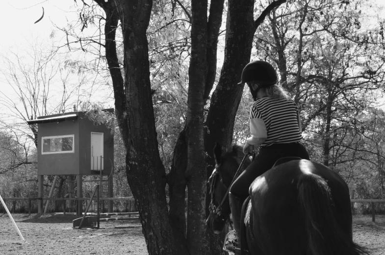 a person riding on the back of a horse in a yard