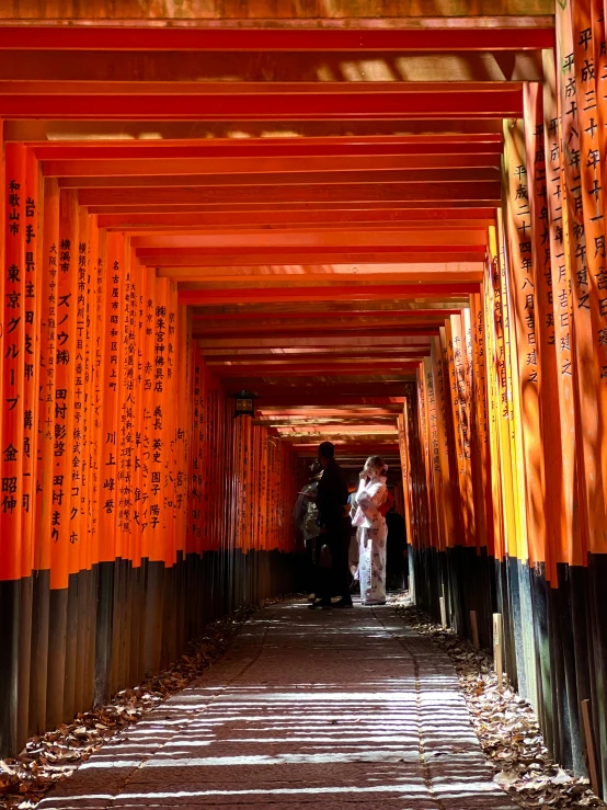 this is a tunnel that has some red trees in it