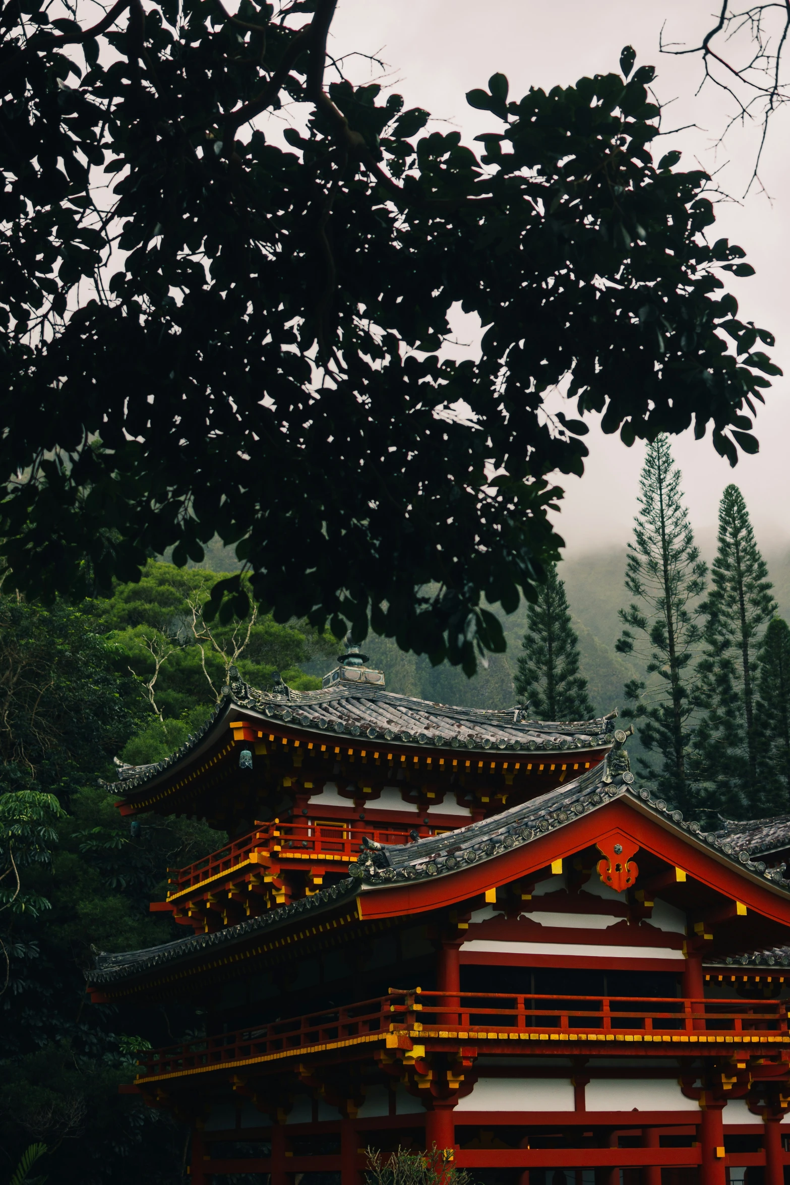 pagoda with lights on its roof in a forest