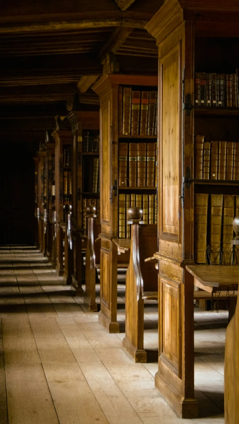 an old wood bookcase filled with lots of books