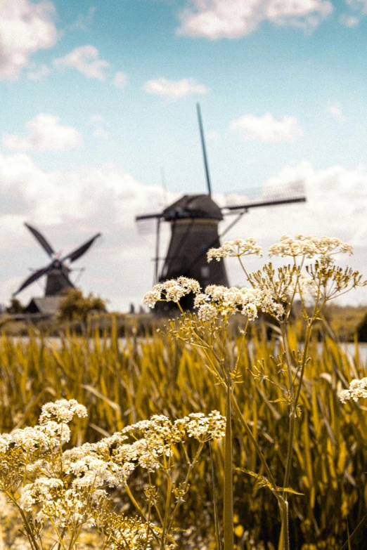 a wind mill and some tall grass on a sunny day