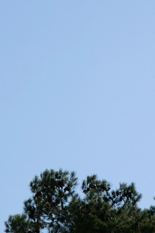 a plane flying high in the blue sky