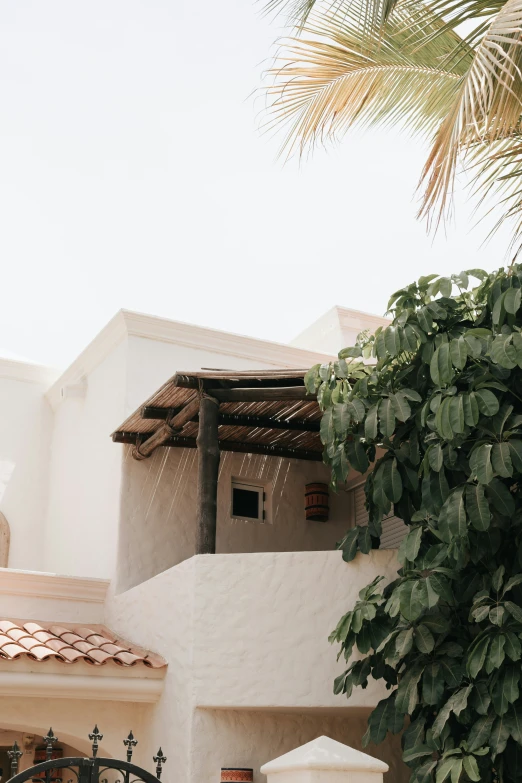 a plant in front of a building with a door