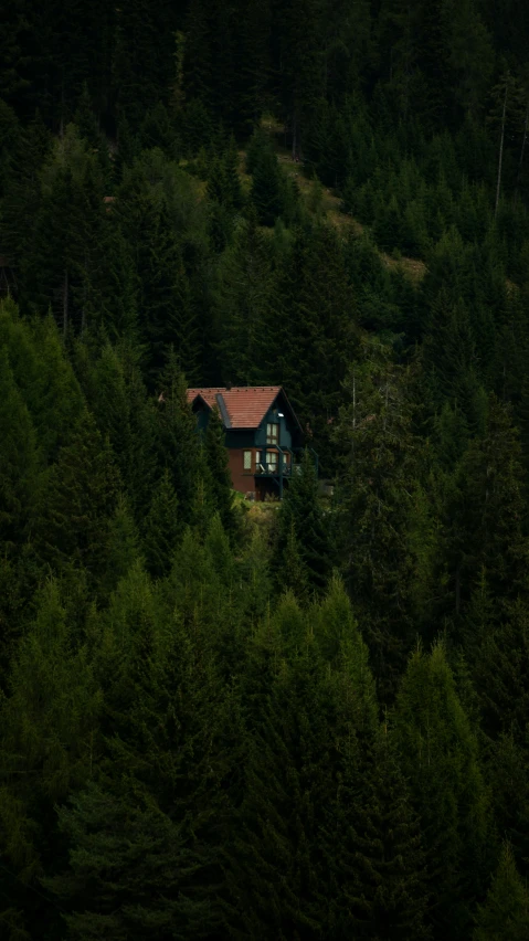 a small house surrounded by lush green trees