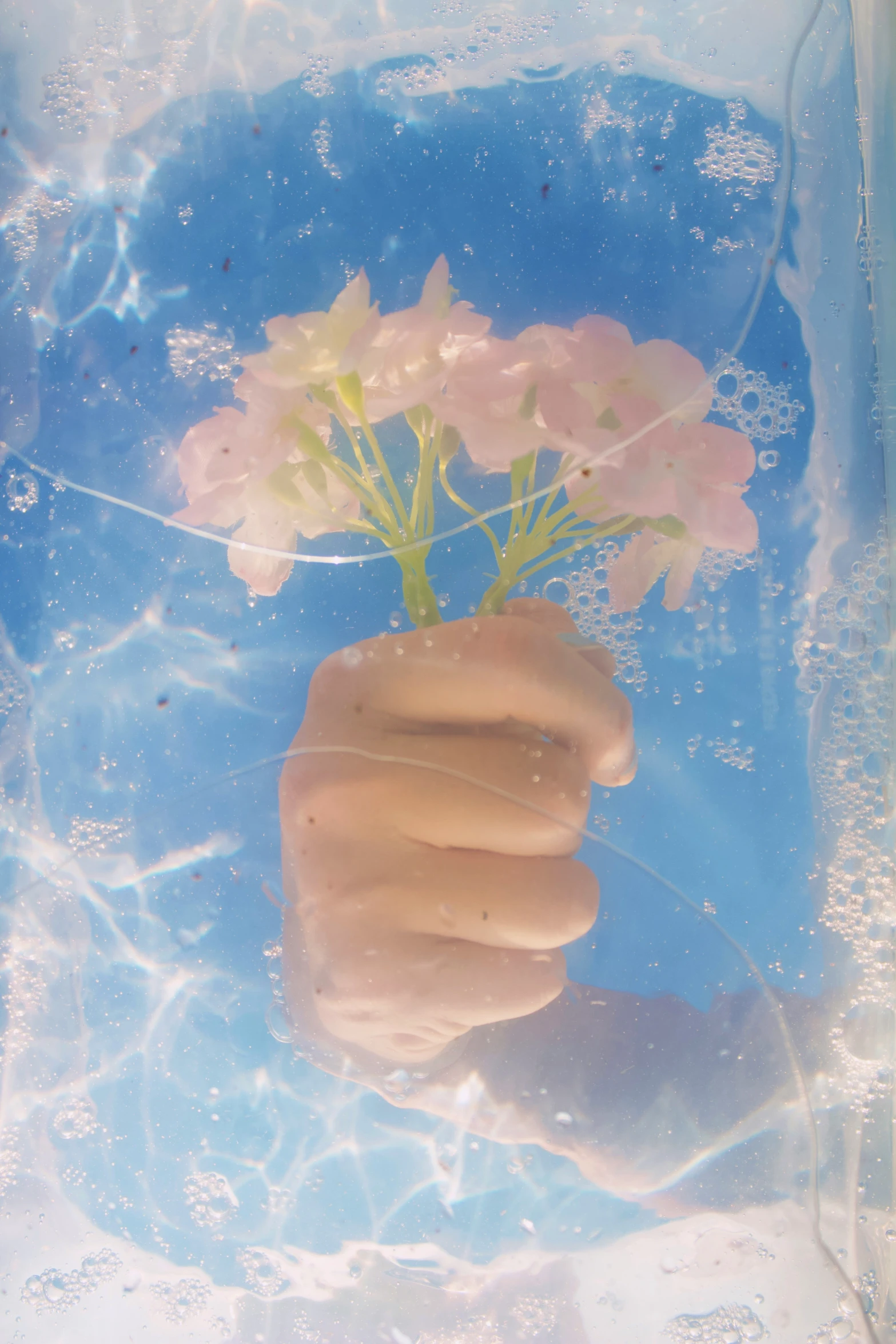 a person with their hand under the water holding a small flower