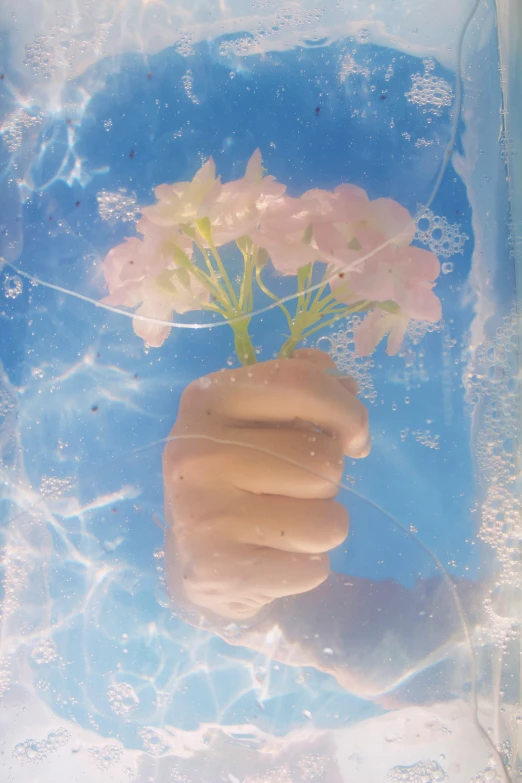 a person with their hand under the water holding a small flower