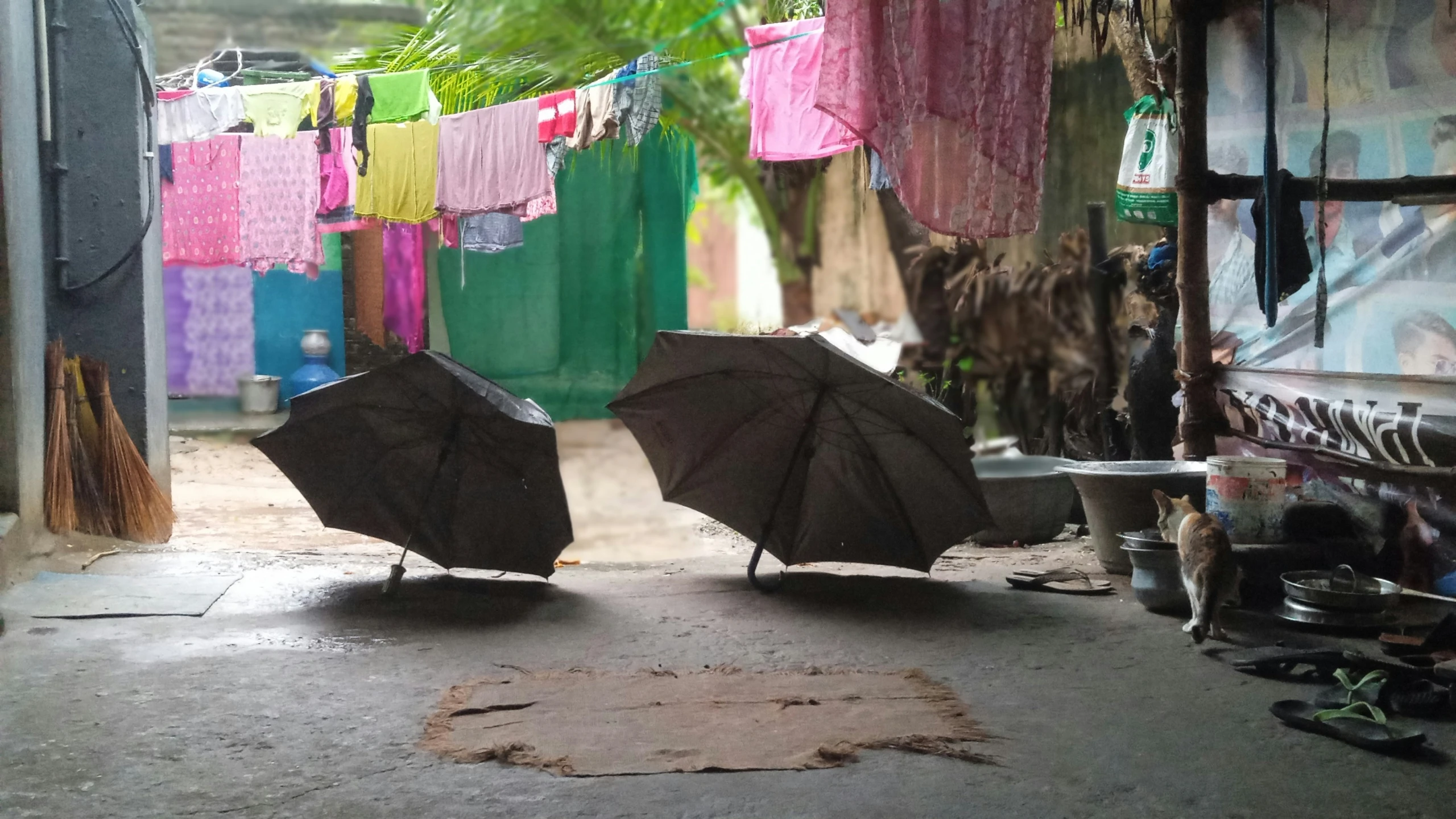 two umbrellas that are next to each other in front of a building