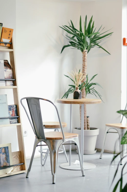 a potted plant sits on top of a table