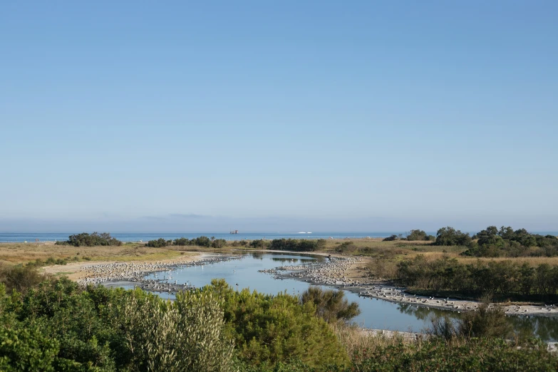 a pond on the coast surrounded by green trees