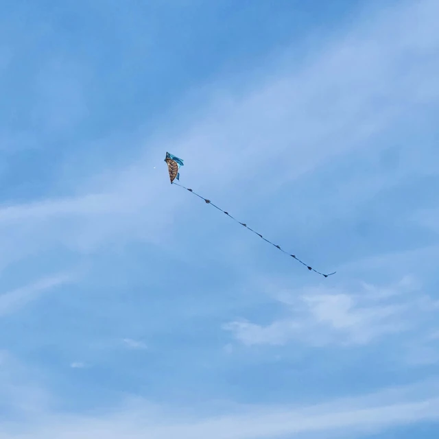 kite flying high in the sky on a sunny day