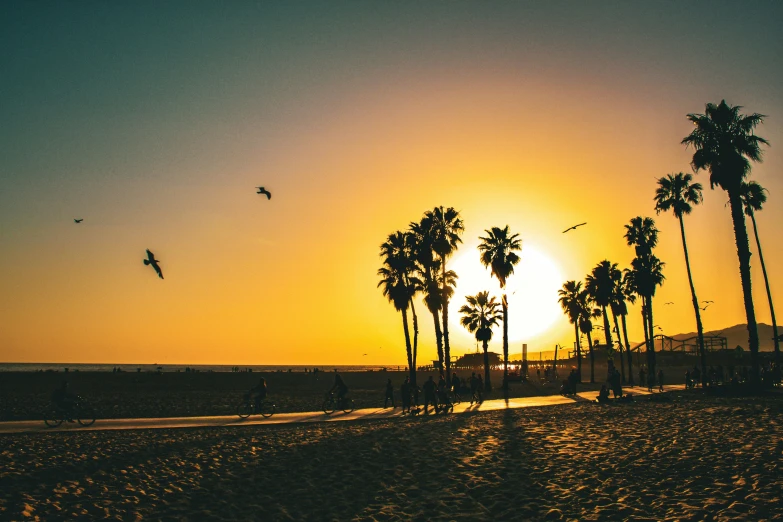 a beautiful sunset with a lot of palm trees