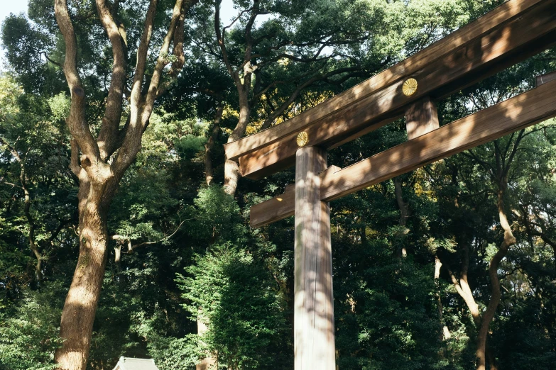 the top of an wooden post with multiple crosses and trees in the background