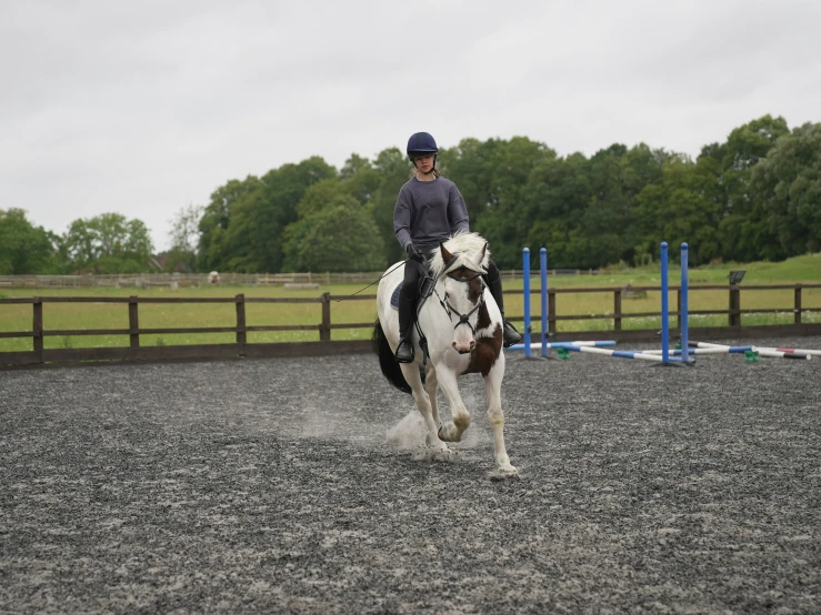 a person on a white horse that has a show jumping