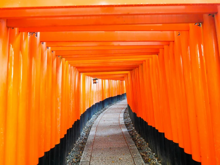 rows of orange poles lined up along a pathway