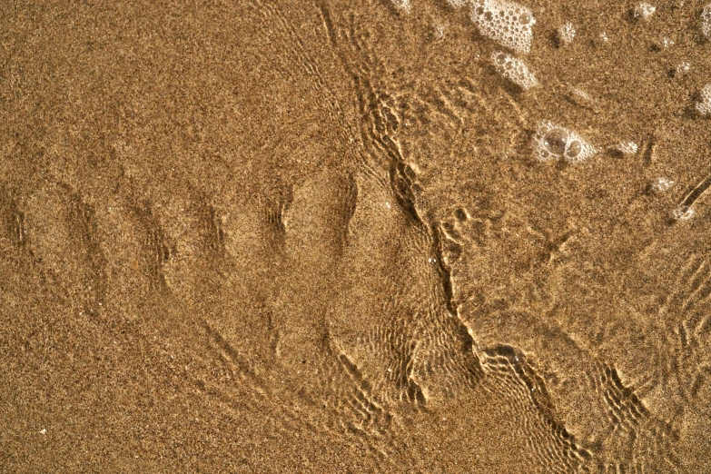 a po of sand that looks to have been rippled into