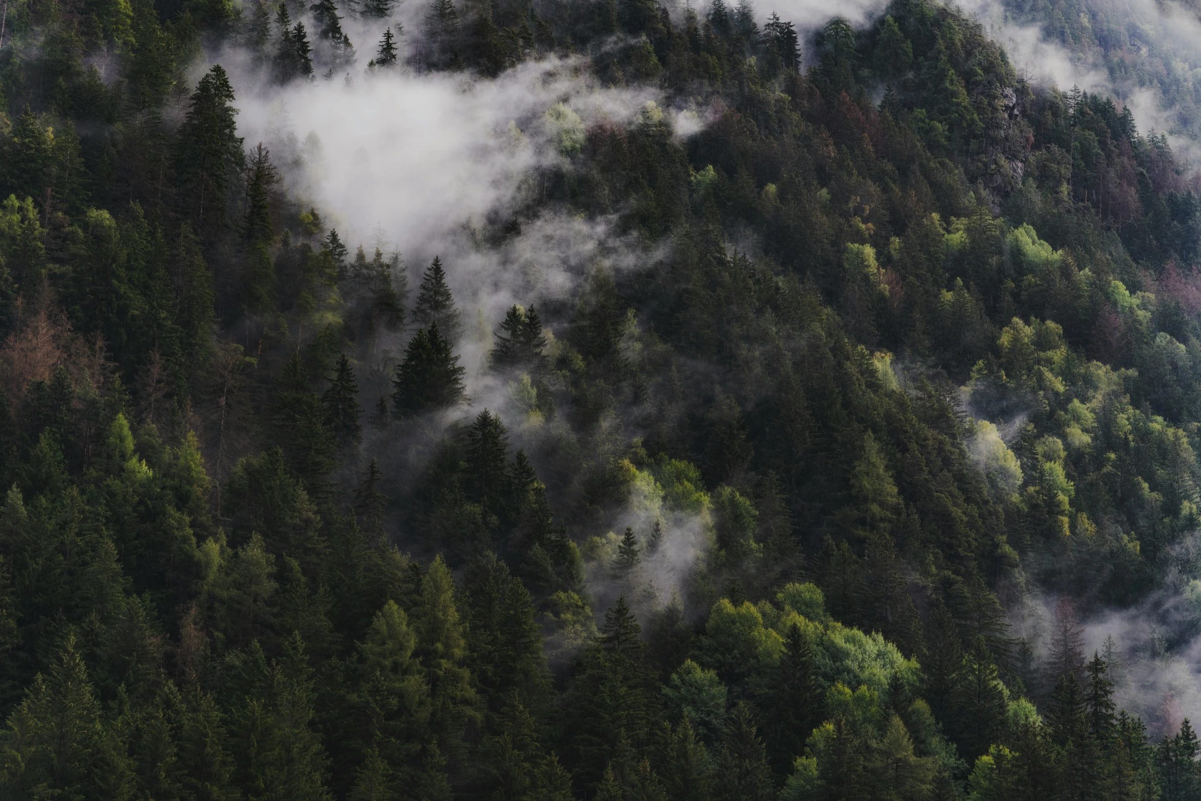 an aerial view of mountains covered in fog