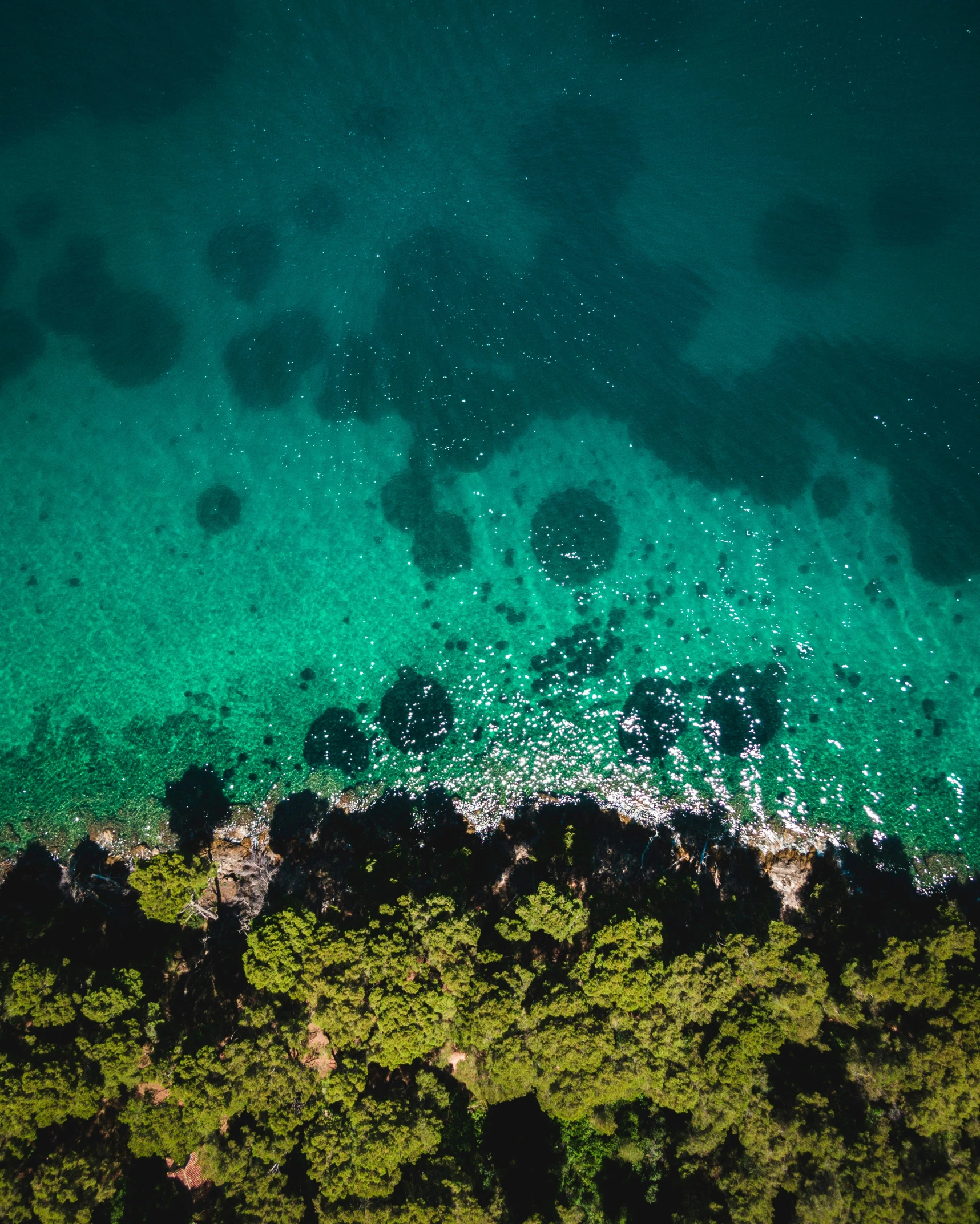 the green water and land are seen from above