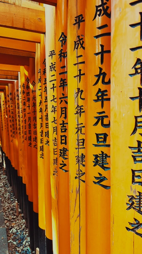 there are numerous tall yellow columns with chinese writing on them