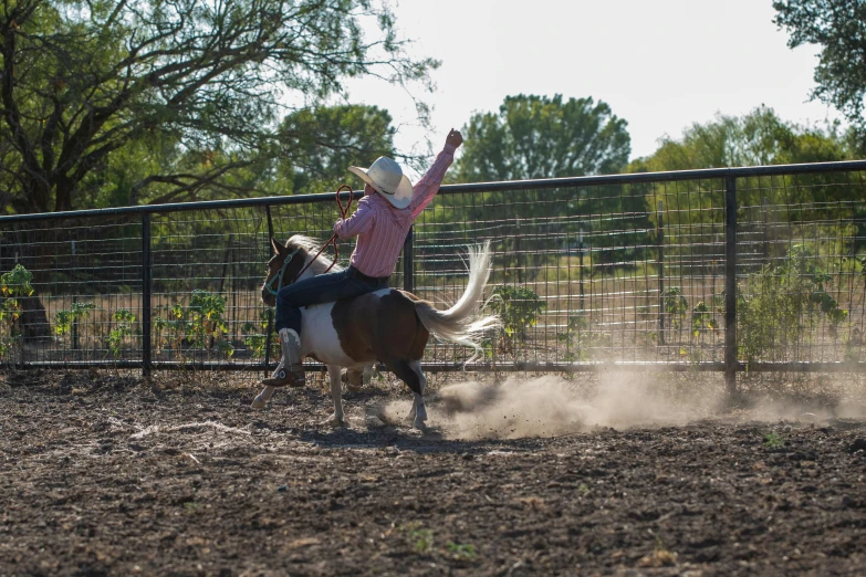 a person riding a horse at the rodeo