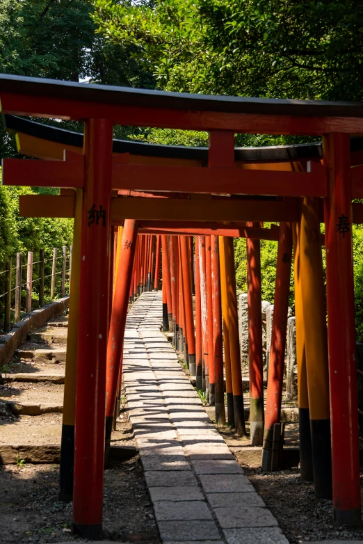 red torimi in an orange gated street with trees