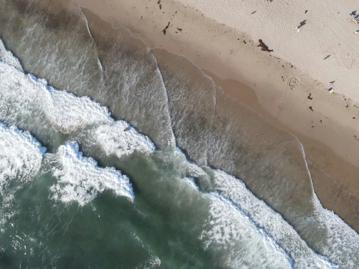 an aerial s of an ocean and beach with people and animals