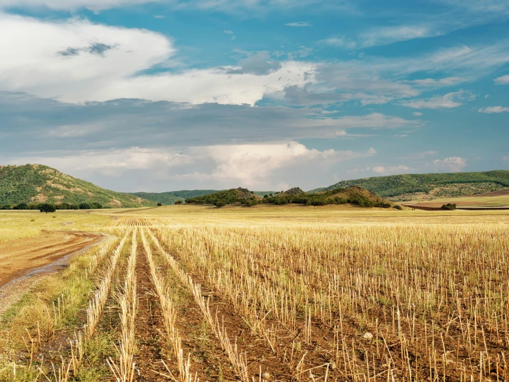 this is a field of grass and grass hills