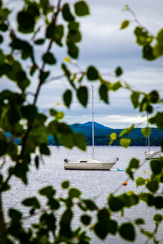 boats out in the water with clouds and hills behind them