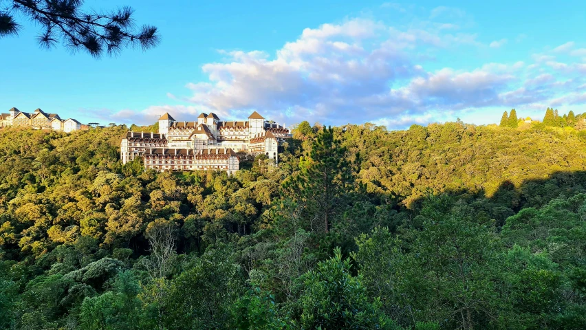 a castle atop a hill is seen near the woods