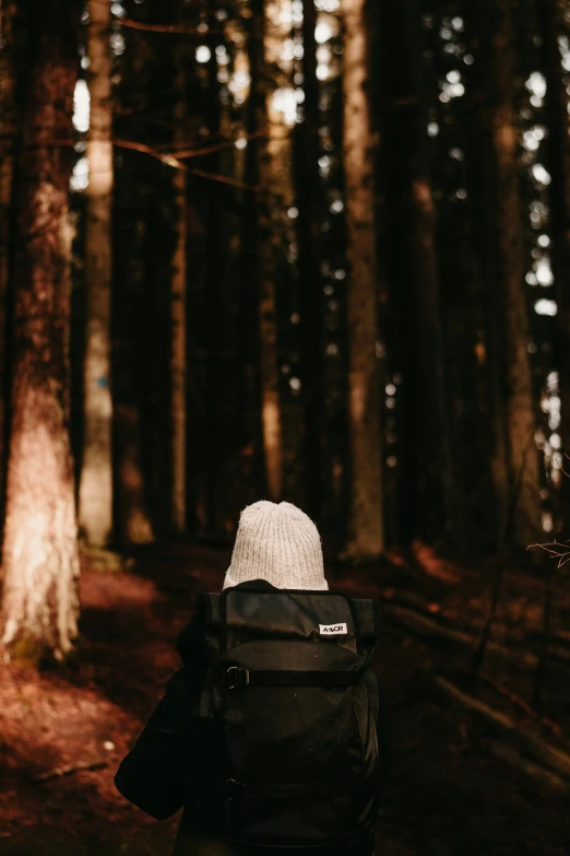 person walking in the woods alone in a gloomy area