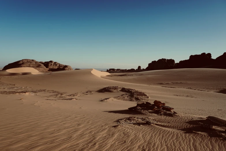 a view from below of a barren desert