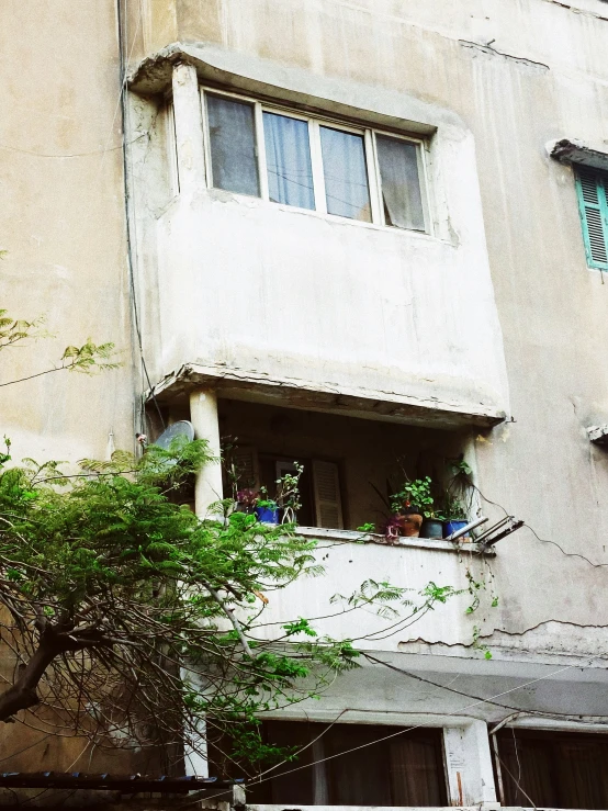 an old building with several plants in the window