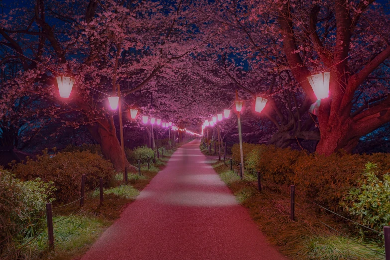 a path lined with trees and bright lamps